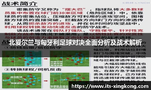 北爱尔兰与匈牙利足球对决全面分析及战术解析